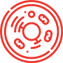 ϸ