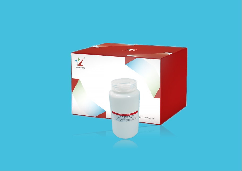 YALEPIC<sup>?</sup> ֯DNA/RNAҺ