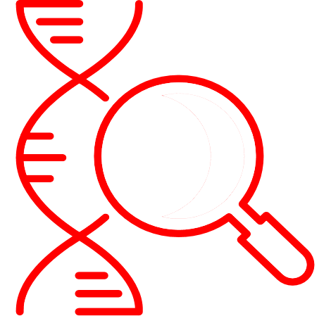 DNA׼/޶Ⱦ